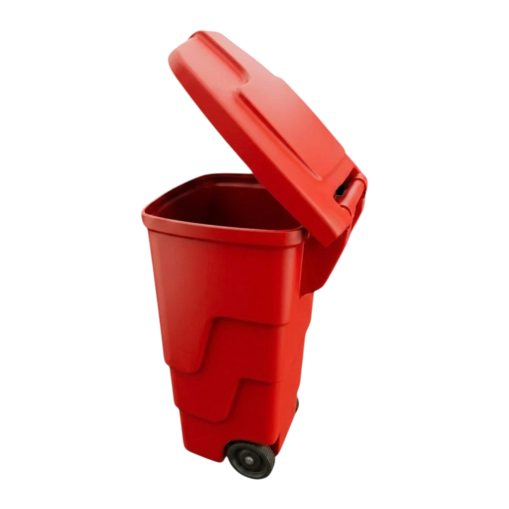 Modelo BUP-125 Patológico - Imagen 4